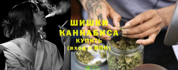 шишки Гусь-Хрустальный