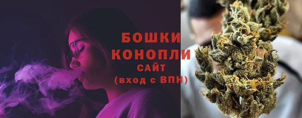шишки Гусь-Хрустальный