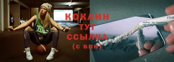 шишки Гусь-Хрустальный