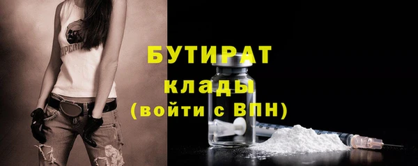 шишки Гусь-Хрустальный