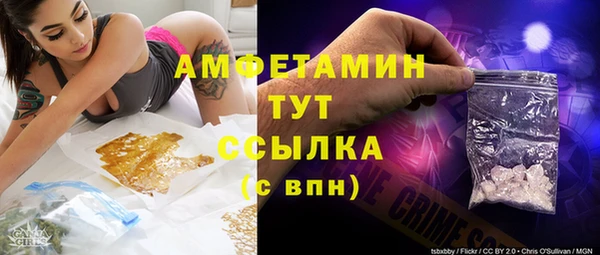 шишки Гусь-Хрустальный