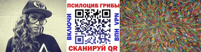 Купить где Павловск Галлюциногенные грибы Magic Shrooms